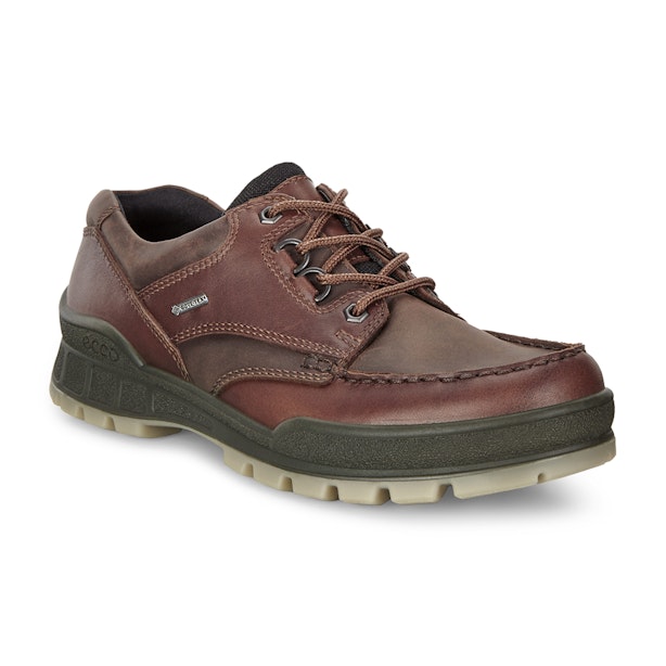 Ecco Track 25 GTX - Tough, leather walking shoes with Gore-Tex® waterproof technology.