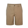 Men's District Chino Shorts  - Alternative View 1